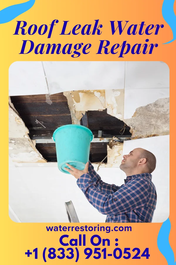 Roof Leak Water Damage Repair in Leakesville, MS